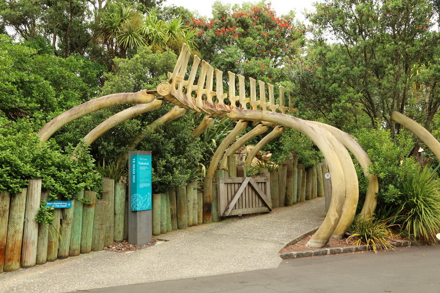 Auckland zoo