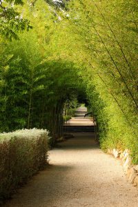 Сад виллы Villa Ephrussi de Rothschild