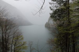 Königssee в тумане