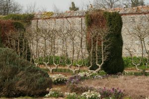 Parc floral de Haute Bretagne